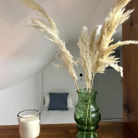 Am Schloss 게스트하우스